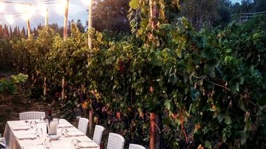 Dinner In The Chianti Vineyards