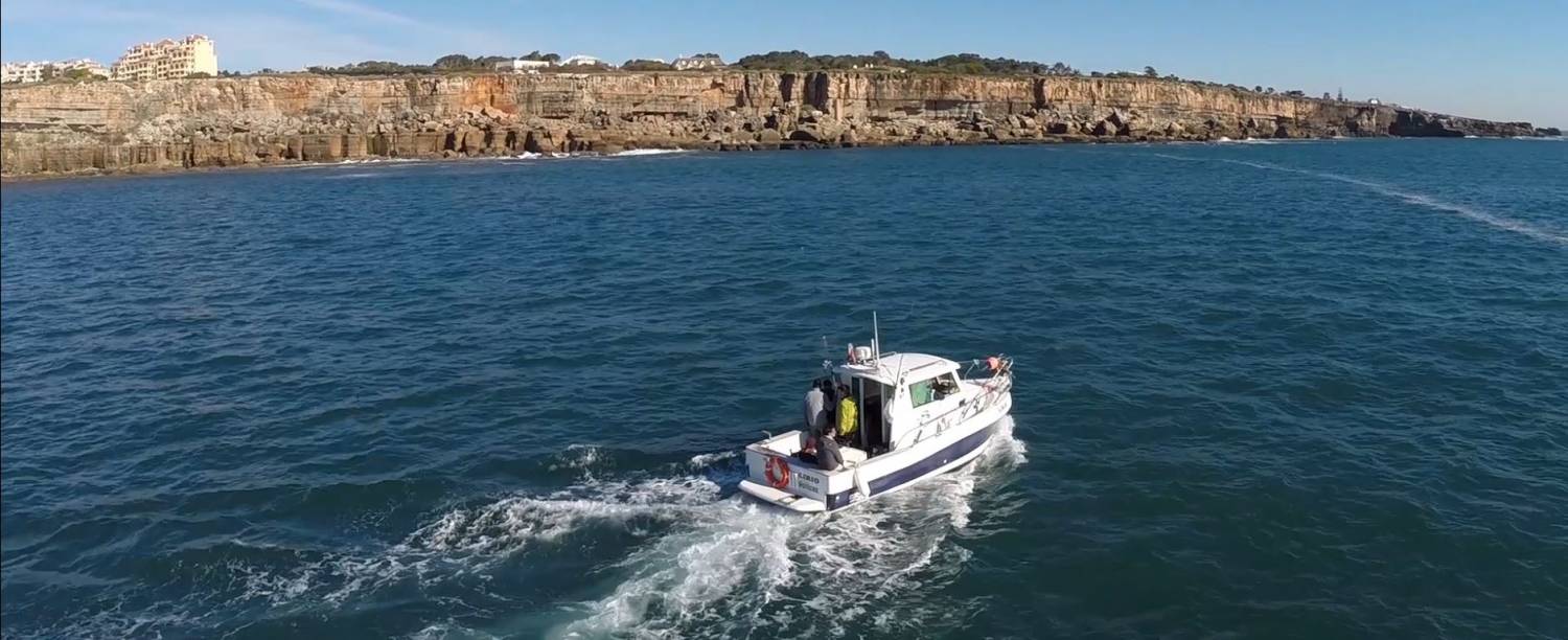 From Cascais: 4H Deep Sea Fishing