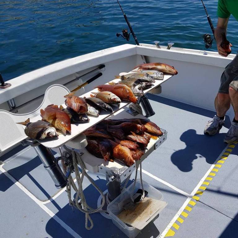 São Miguel Island Coastal And Bottom Fishing FullDay Trip In The