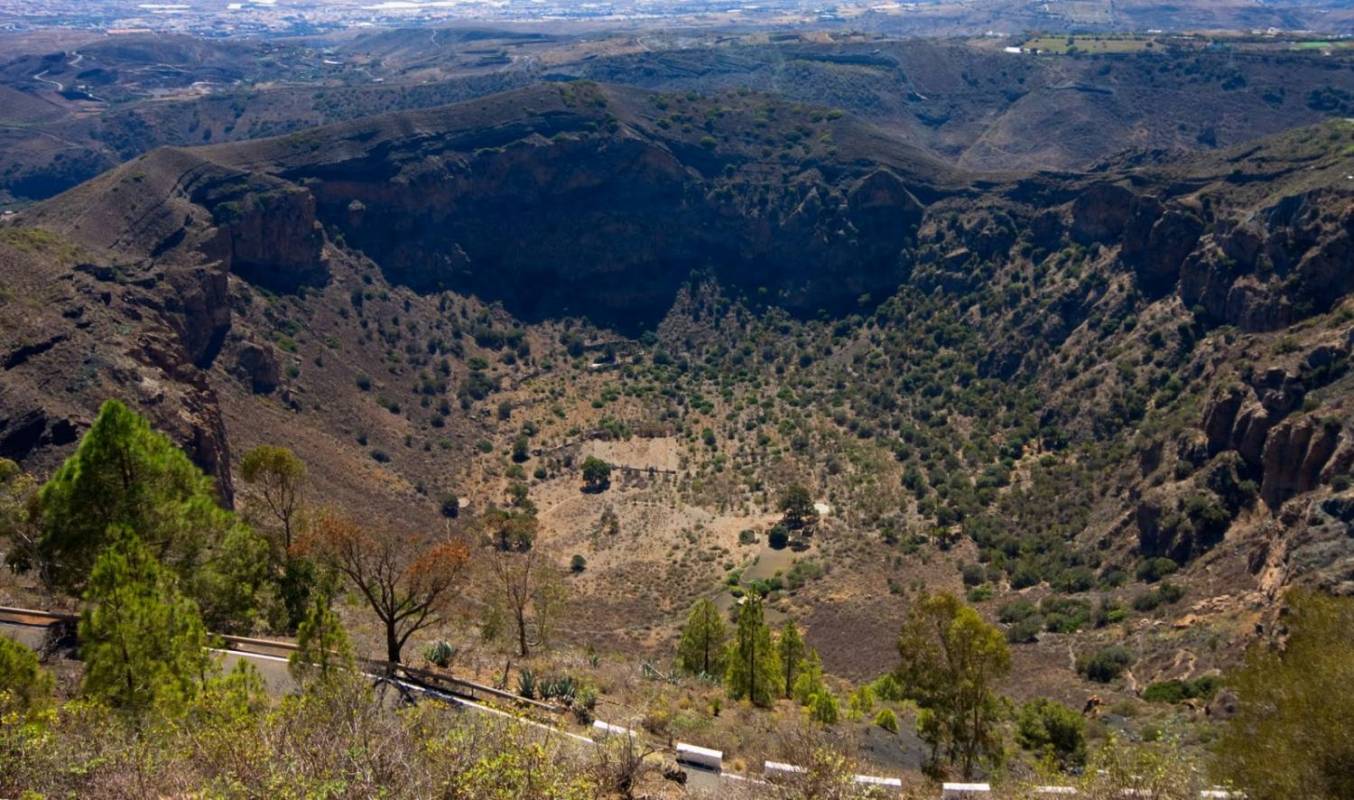 Las Palmas and Botanical Garden and Volcano