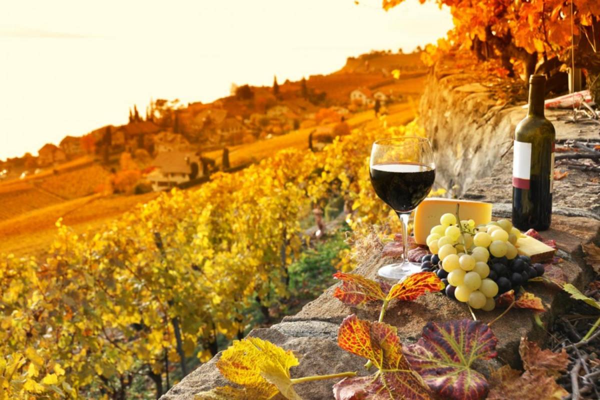 Safari Chianti Experience On A Quad With Picnic From Siena