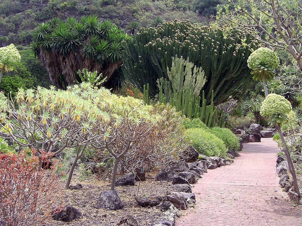 Las Palmas and Botanical Garden and Volcano