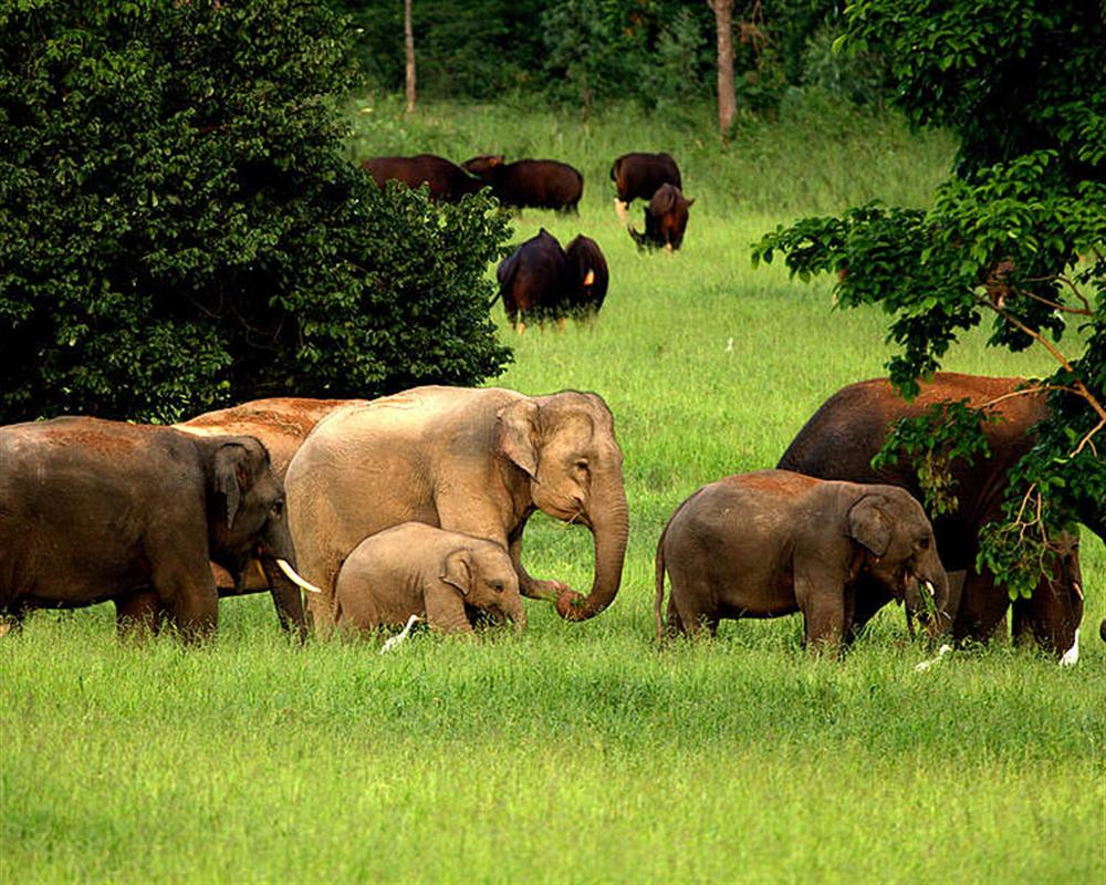 Kui Buri District Top Tours and Trips