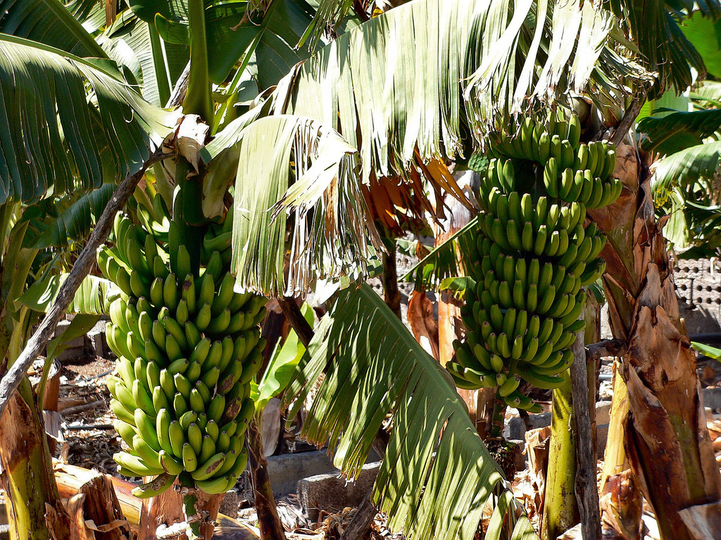 Big Island Tour Gran Canaria