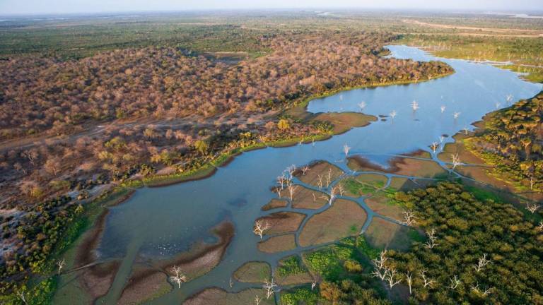 Resultado de imagen de delta okavango"