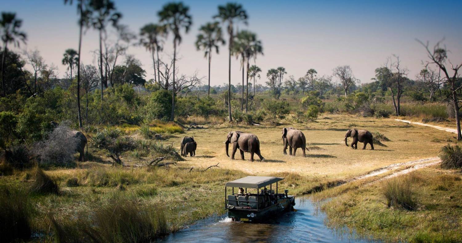 7 Jours De Safari Chobe Savuti Delta De Lokavango
