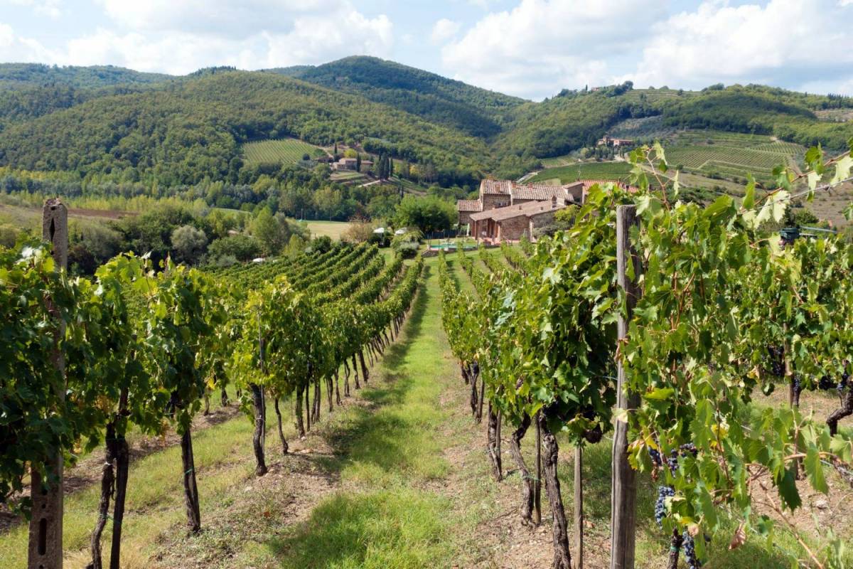 Chianti At Sunset With Dinner Experience From Siena