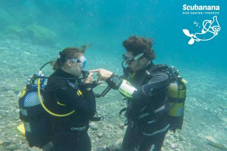 Padi Discover Scuba Diving, El Rosario, Tenerife