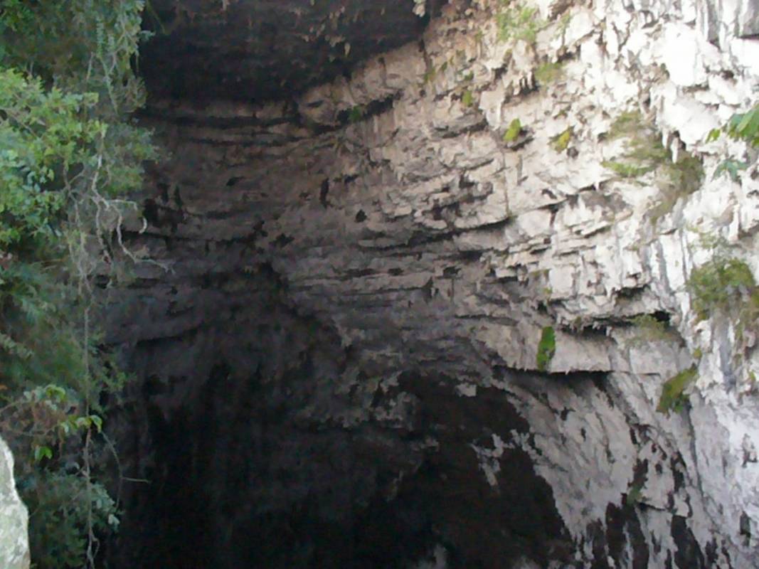 5 Days Of Ecotourism In The Huasteca Potosina