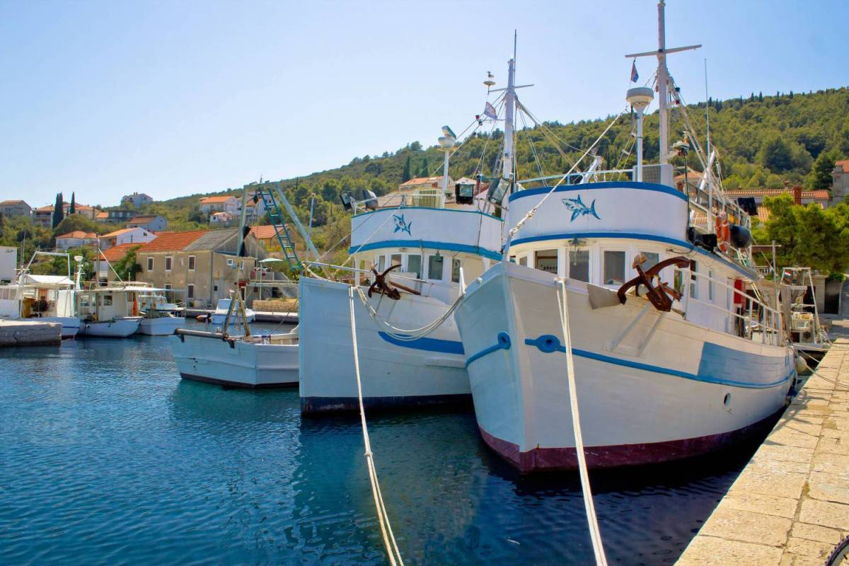 Pašman, Ugljan Self Guided Bike tour