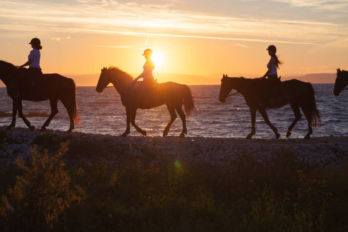 Horseback Riding Tours