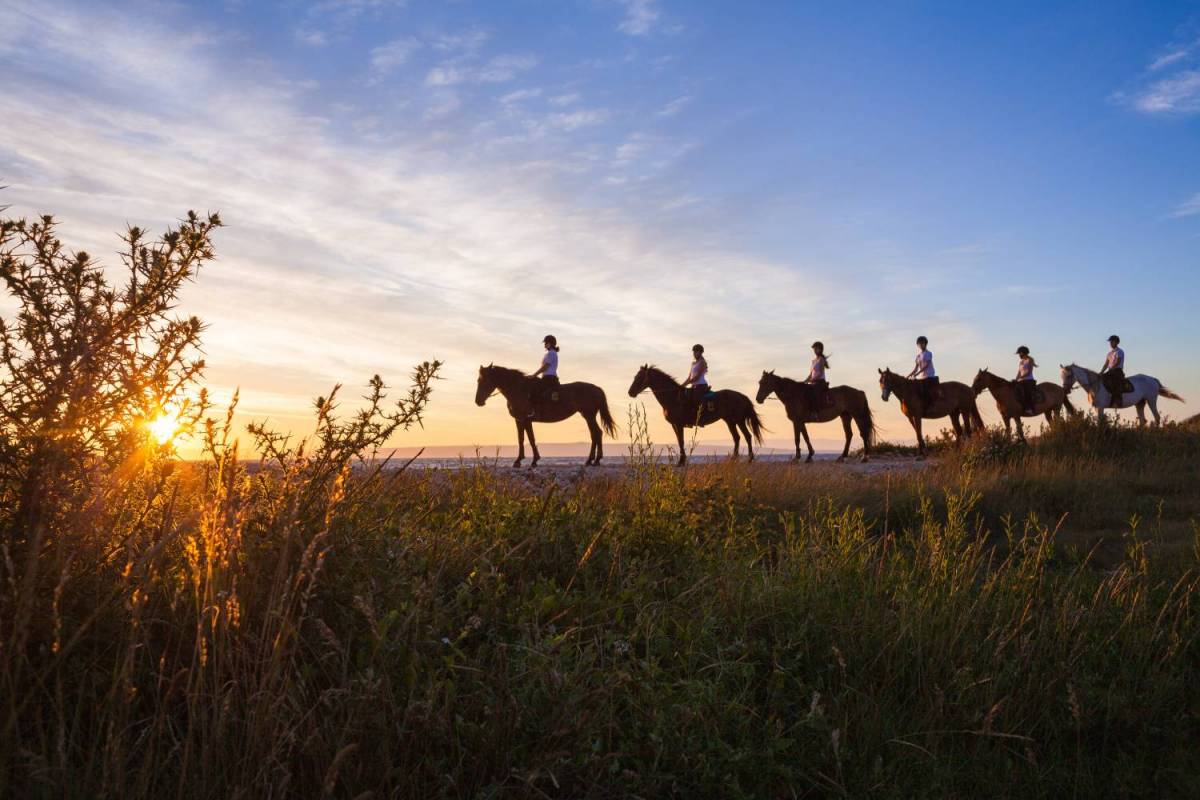 Horseback Riding Tours