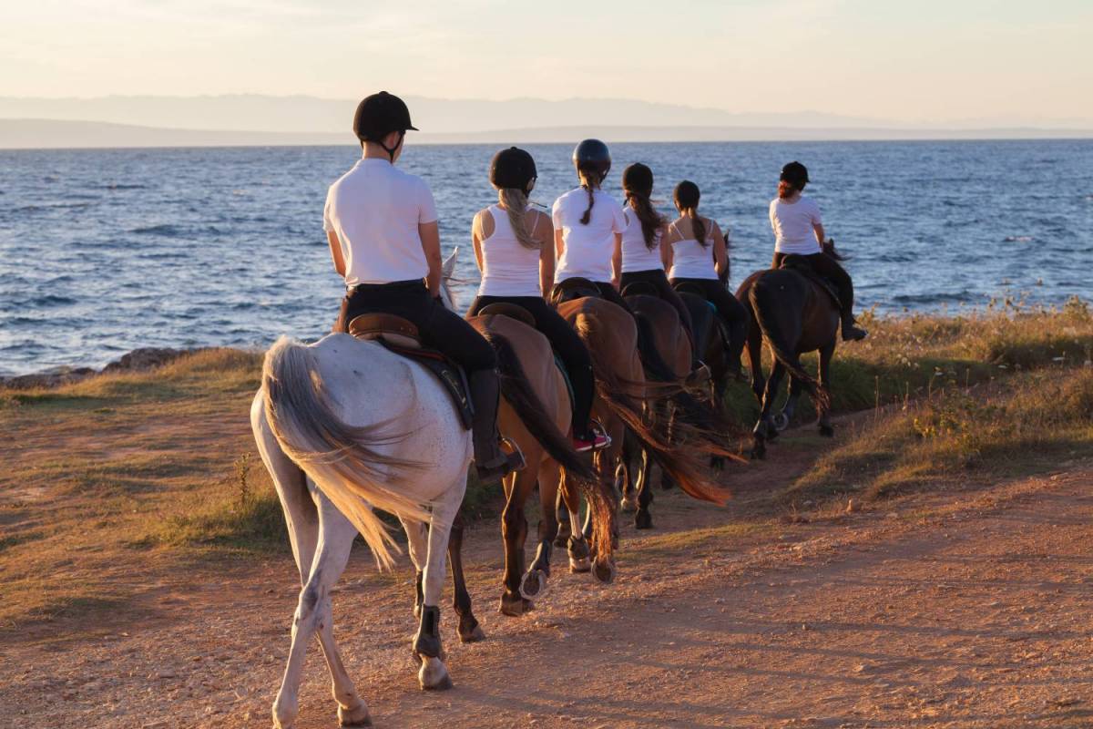 Horseback Riding Tours