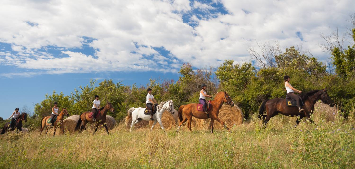 Horseback Riding Tours