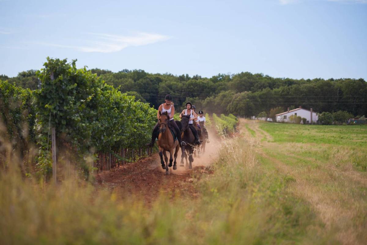 Horseback Riding Tours