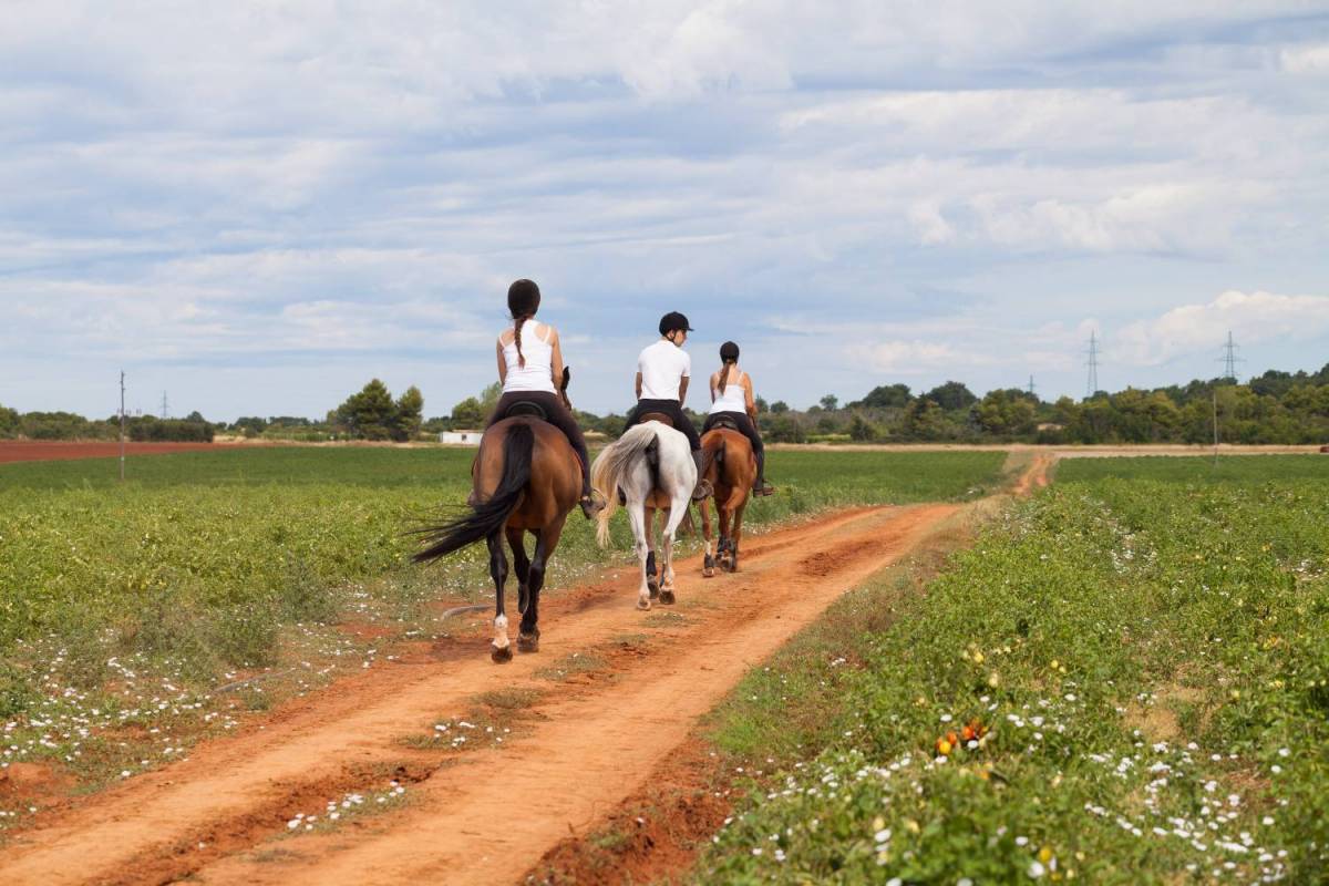 Horseback Riding Tours