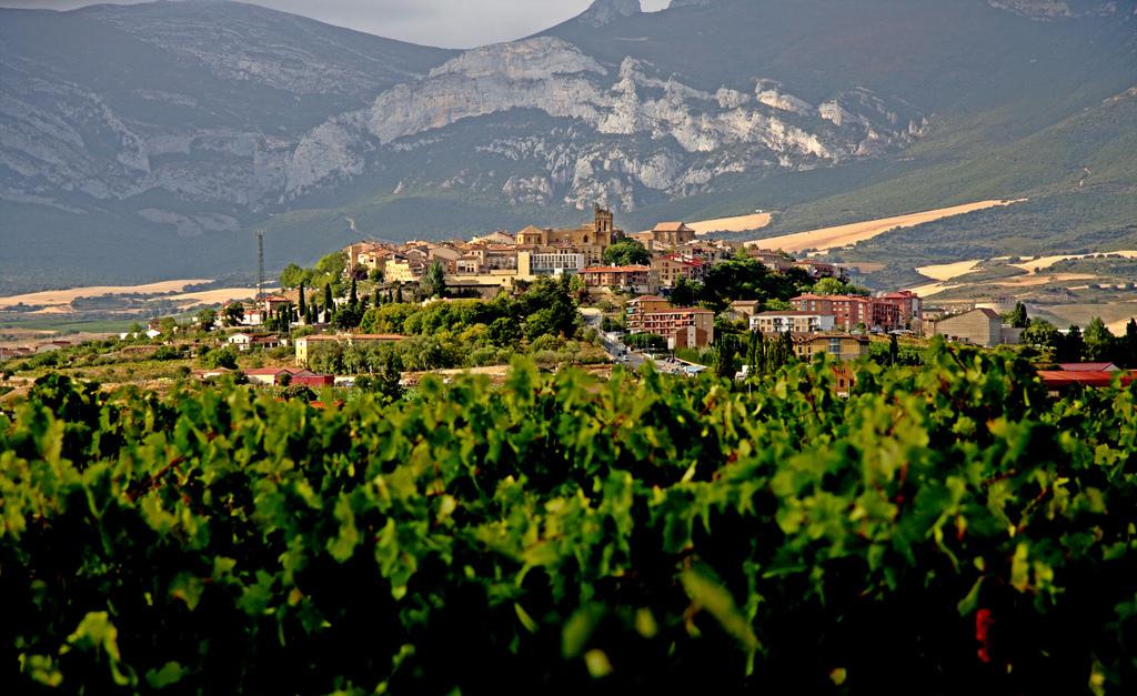 Vitoria and Rioja Full Day Tour