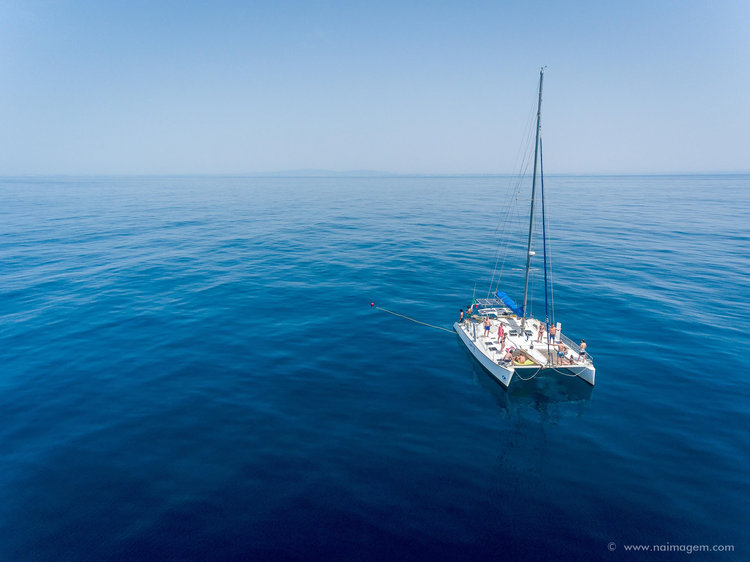 catamaran sailing algarve