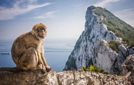 Excursión Privada De Un Día A Gibraltar Y Bolonia Desde Sevilla