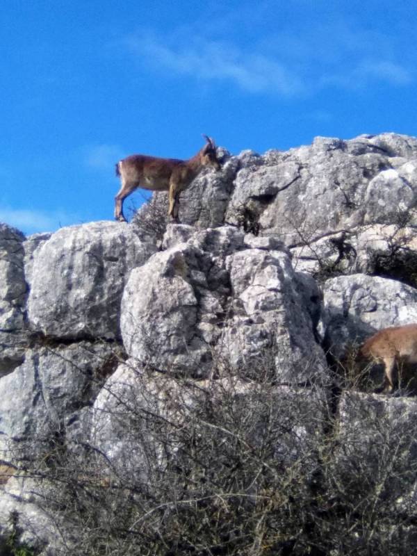 El Torcal And Dolmens With Aperitif