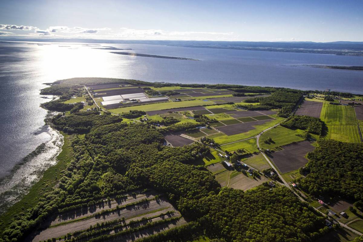 Quebec - The City And The River By Sky