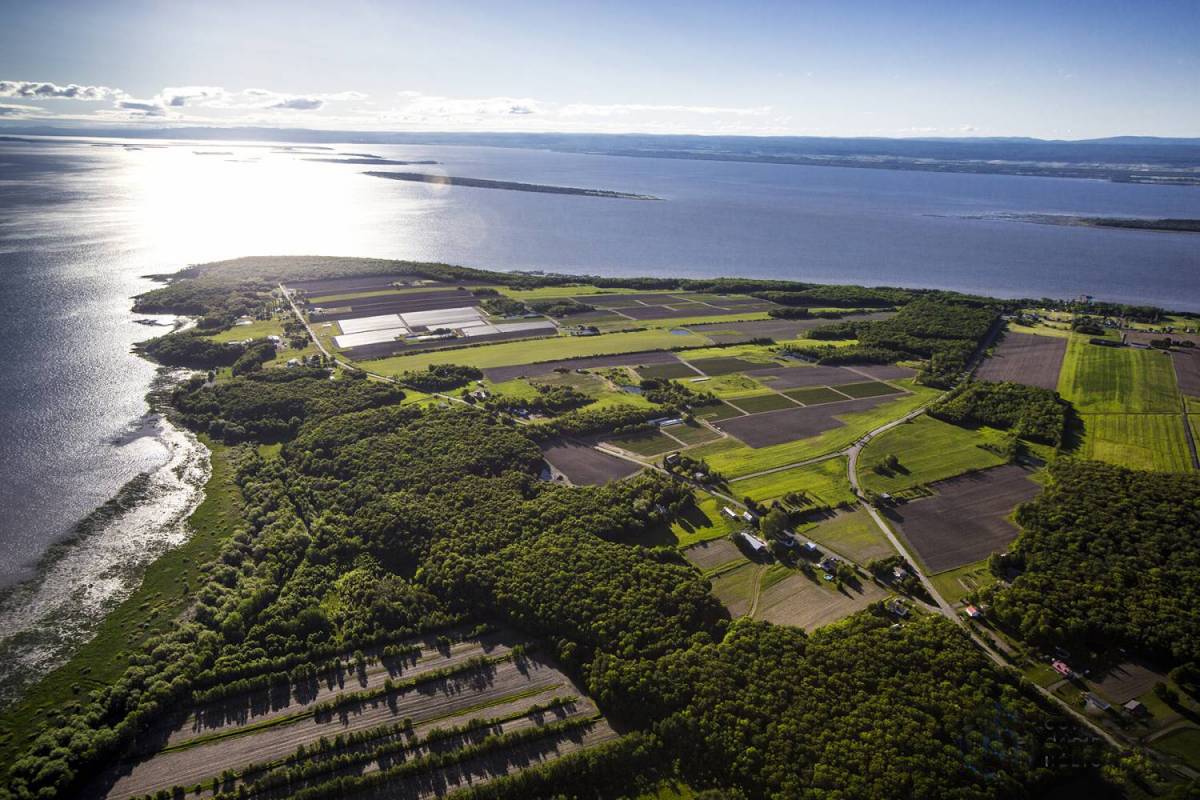 Quebec, The Full Tour