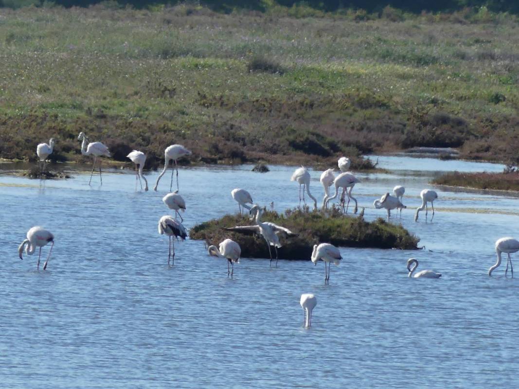 Private Boat Tours Departing From Portimão