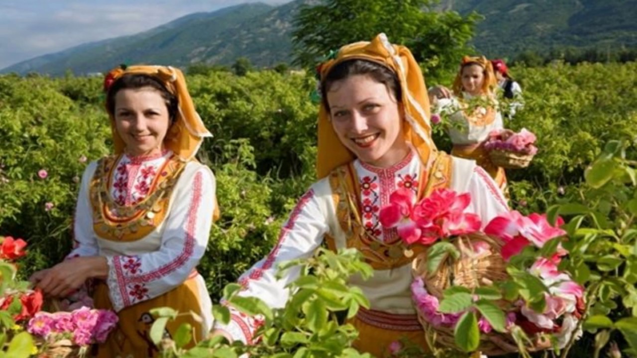 Visiter À Karlovo En Bulgarie Rose's Valley