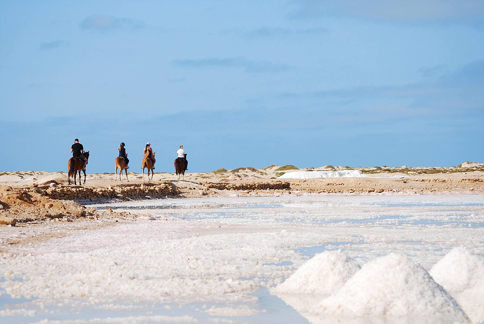 Ride At The Salt Flats & Kite Beach Sal Island Cape Verde