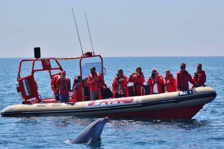 Paseo De Barco Desde De Lagos Para Ver Delfines