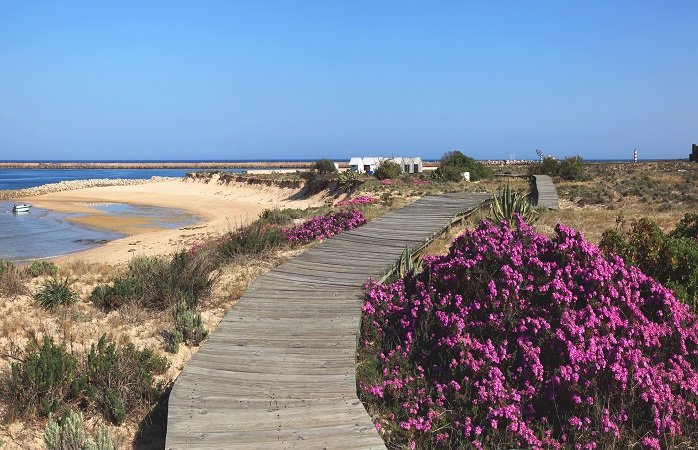 Boat Tour in Ria Formosa From Faro