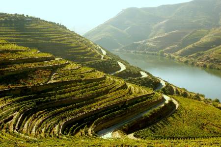 Douro Valley Tour From Porto With Lunch, Wine Tasting, Visit To Farm & Panoramic Cruise