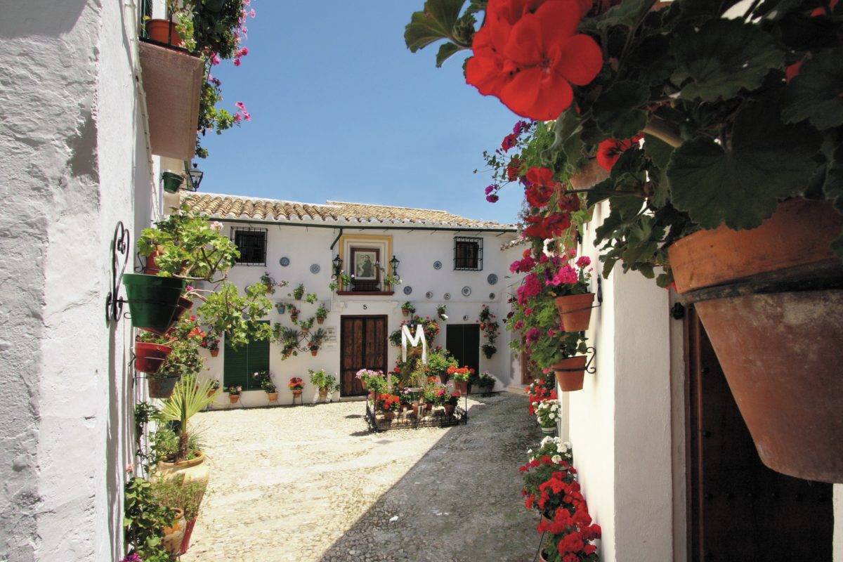 White Villages And Ronda Day Trip