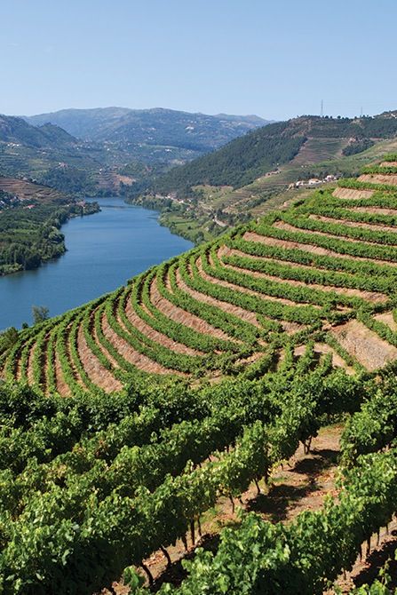 Historical Train With A Douro Cruise