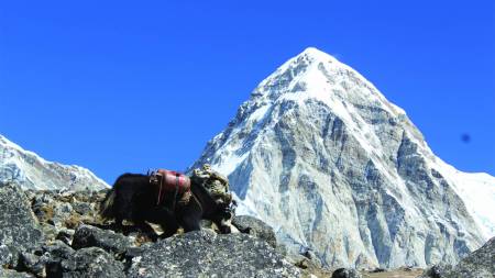 Everest Basislager Trek
