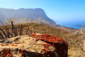 Gran Canaria Jeep Safari