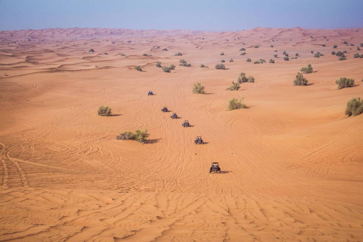 Fresh Morning Breeze Buggy Tours