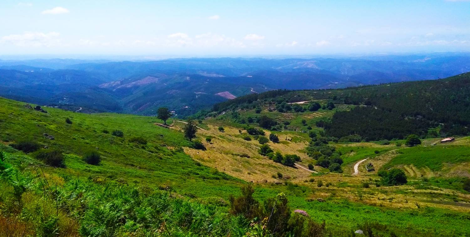 Silves And Monchique Full Day Tour