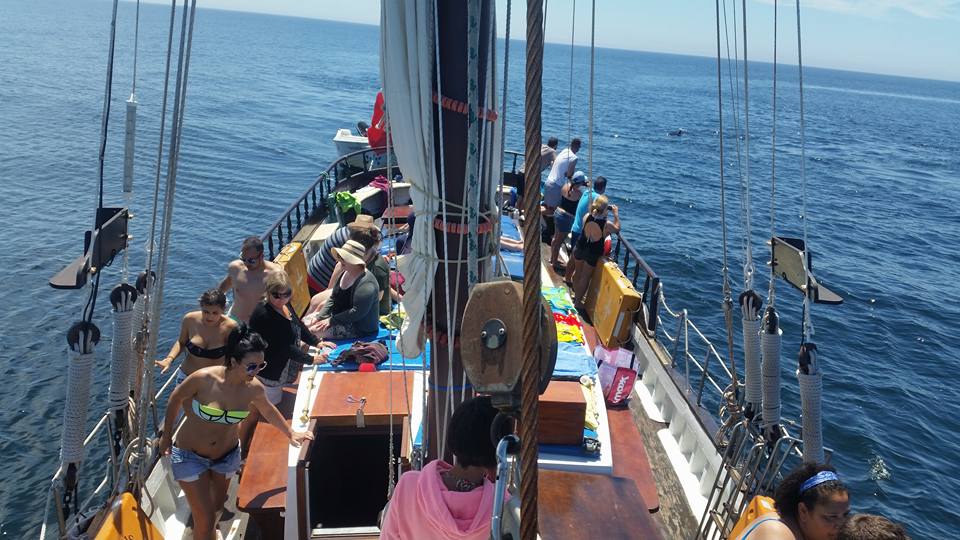 Tour Of Sailboat To Benagil With Entry In The Caves