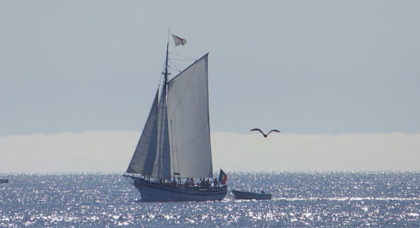 Unforgettable Tour To Ponta Da Piedade In Sailboat, Departing From Portimão