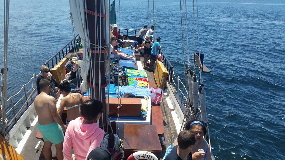 Unforgettable Tour To Ponta Da Piedade In Sailboat, Departing From Portimão