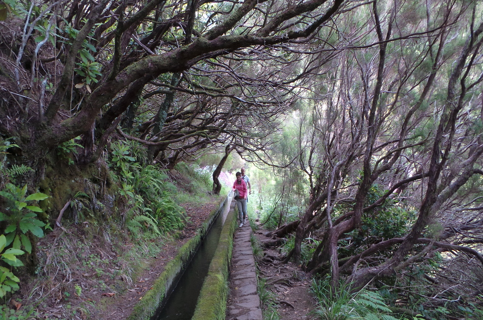Rabaçal (25 Fontes Levada Walk) + Jeep Tour In Madeira Island ...