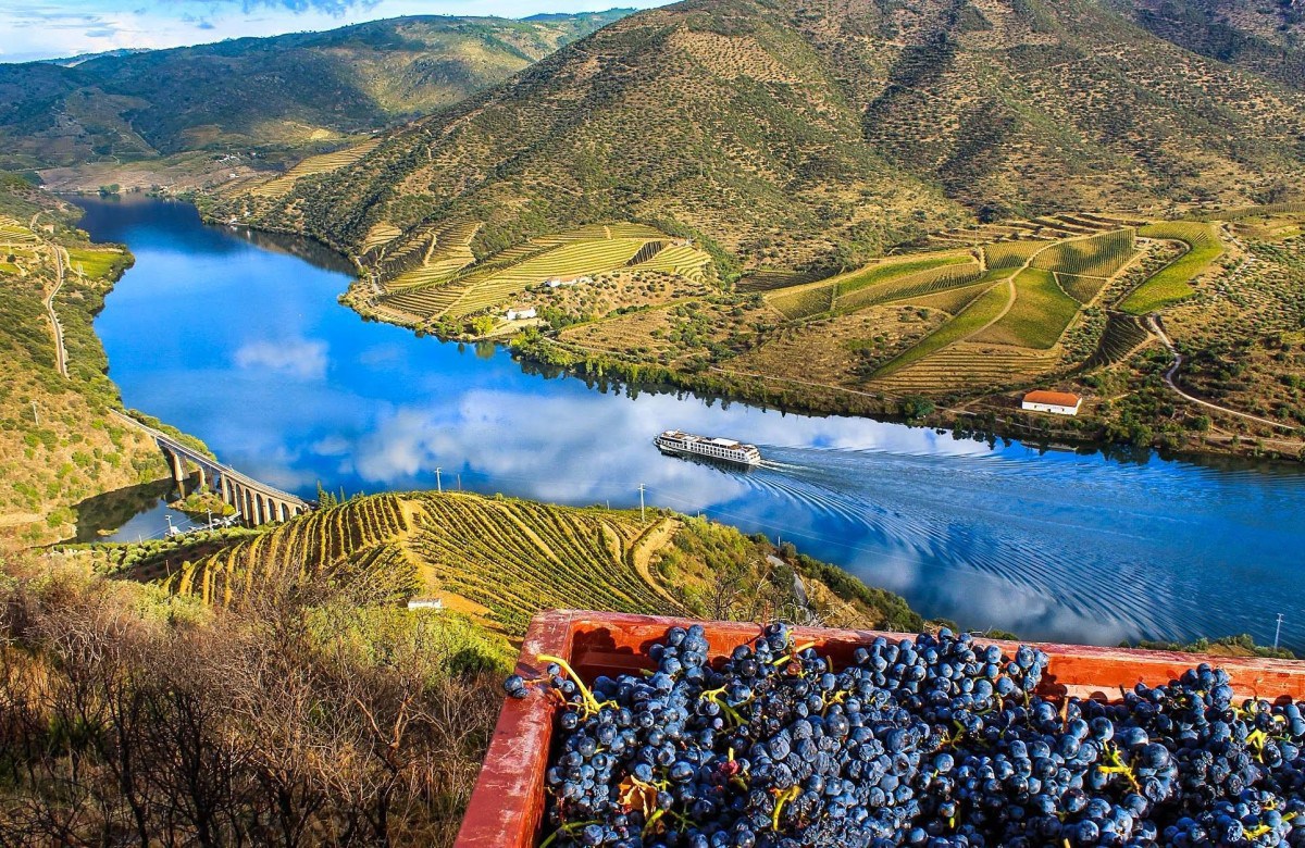 Tour Douro Valley