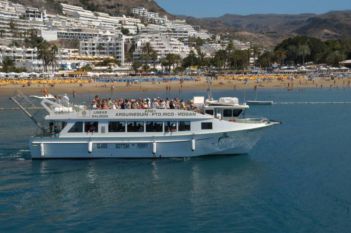Gran Canaria: Dolphin Search