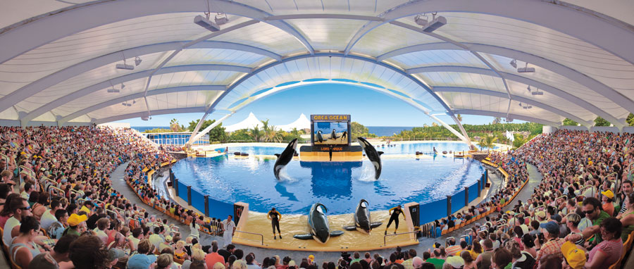 Tenerife & Loro Parque From Gran Canaria