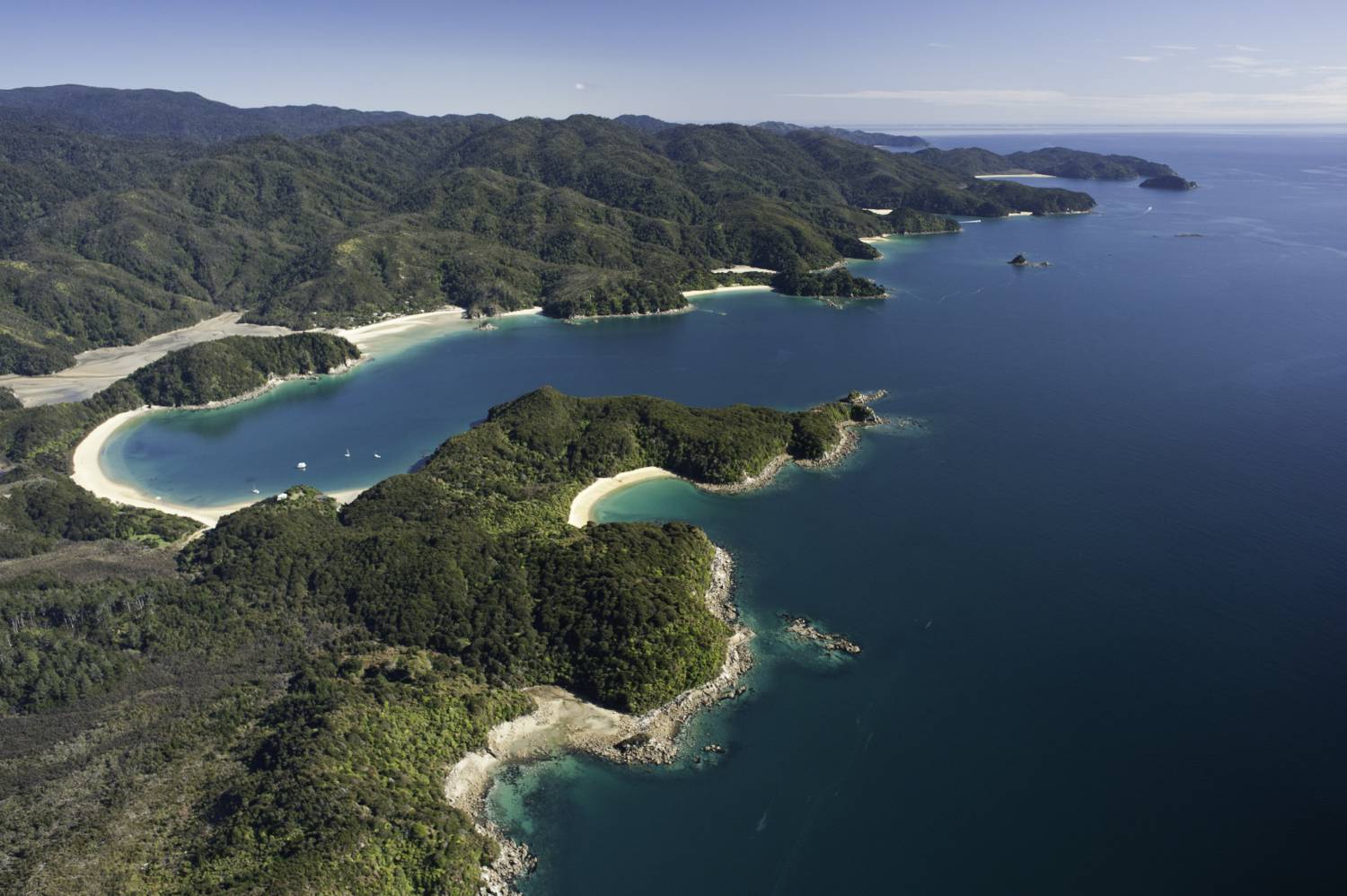 Motueka Top Tours and Trips