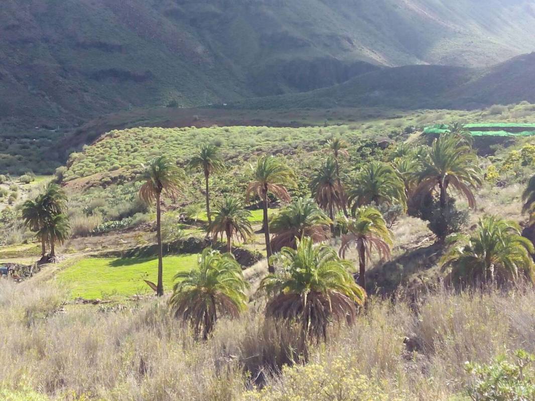 Gran Canaria Jeep Safari