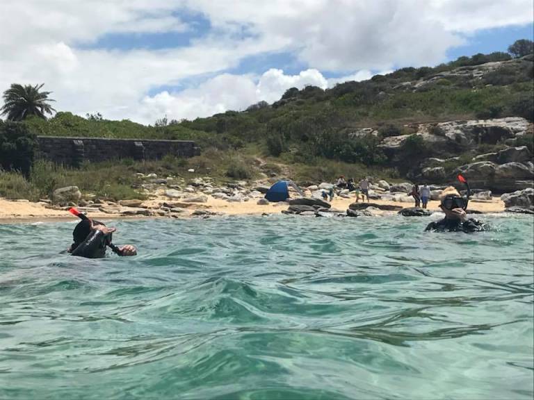 Sydney 3 Hour Snorkeling Tour