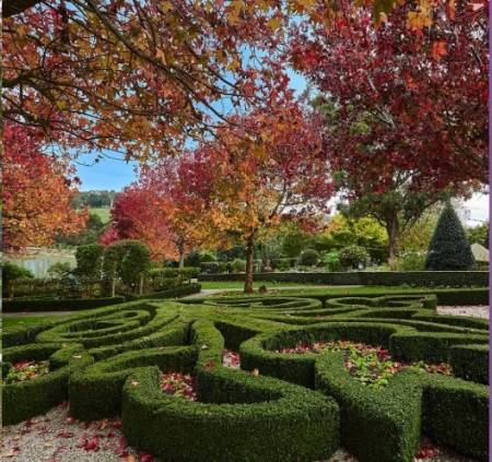 Enchanted Adventure Garden