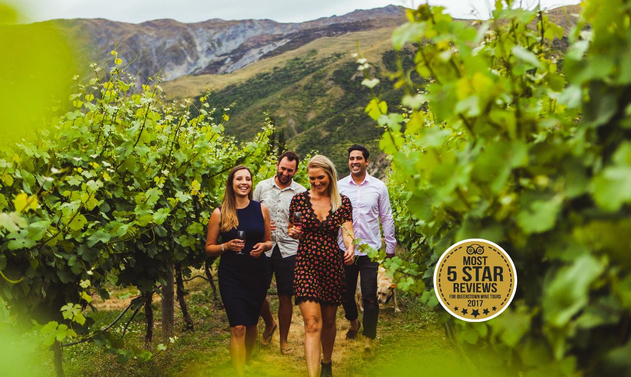 Queenstown: 5-Hour Wine Tasting Tour In Wineries Of Gibbston Region
